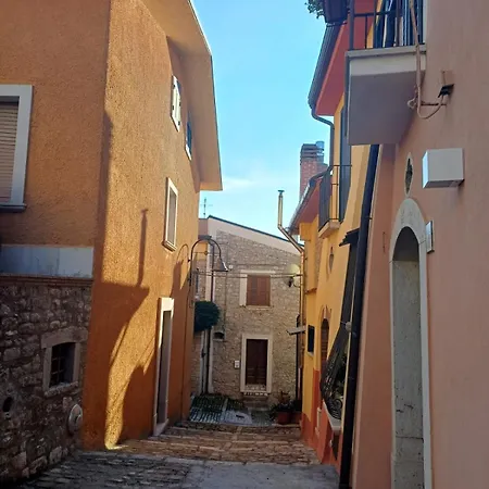 Vicolohome